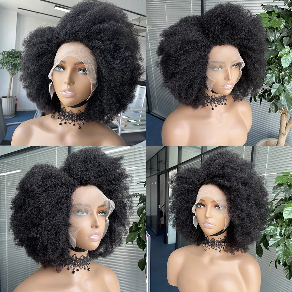 Afro Kinky Curly Lace Front Wig Natural Color  250% Density