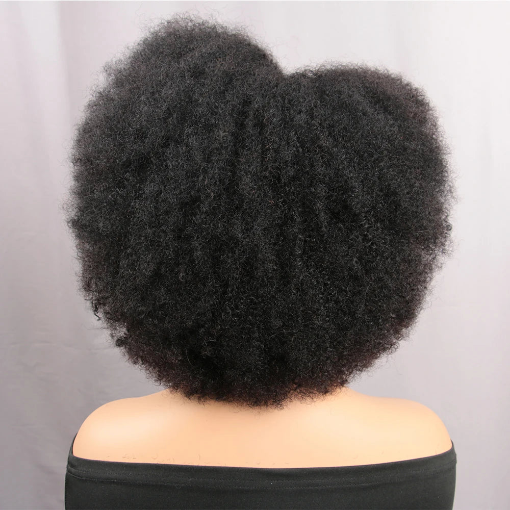 Afro Kinky Curly Lace Front Wig Natural Color  250% Density